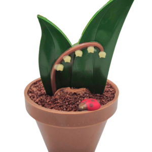 Pot de Muguet Chocolat Lait Grand Modèle