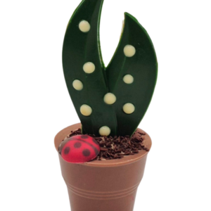 Pot de Muguet Chocolat Lait