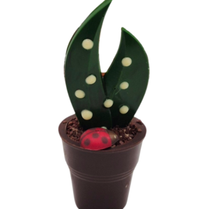 Pot de Muguet Chocolat Noir