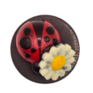 Coccinelle et Marguerite en chocolat noir