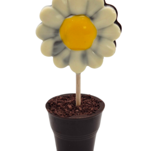 Marguerite Noir